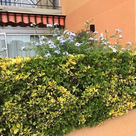 Апартаменты La Toquade